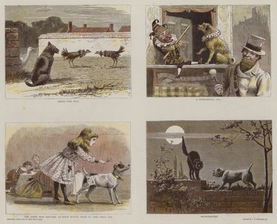 Illustraties uit de catalogus van het Royal Institute of Painters in Water-Colours door John Charles Dollman